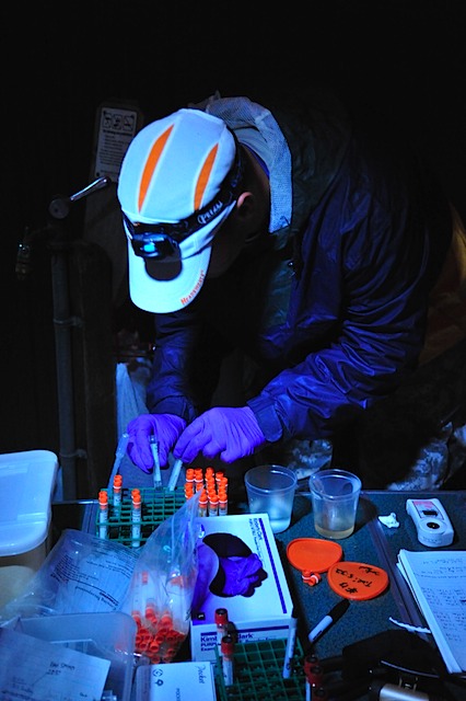 Ultra marathoner samples.